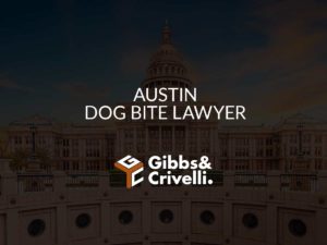 Austin Dog Bite Lawyer